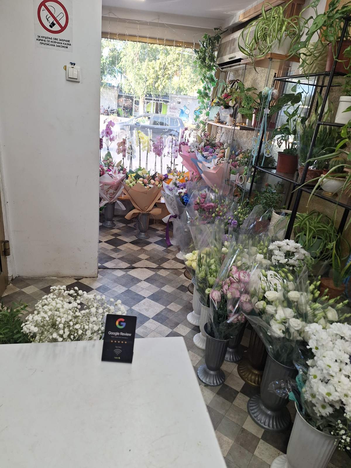 Tapka stalak u Cvećari Carstvo Cveća